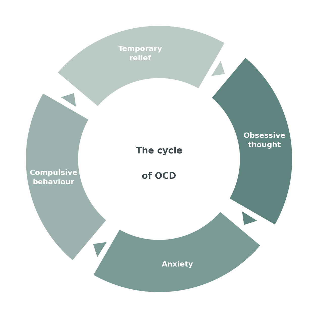 Diagram of the OCD cycle: obsessive thought leads to anxiety, then compulsive behaviour, then temporary relief, and back again