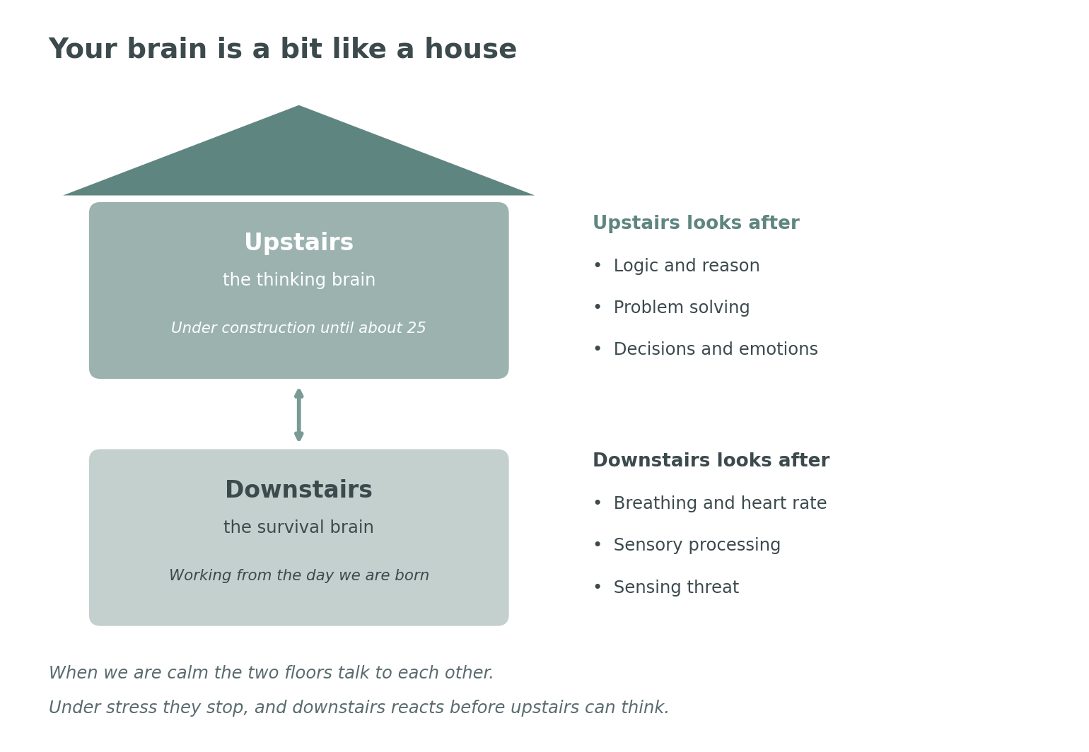 A house with two floors: upstairs is the thinking brain, downstairs is the survival brain, and a stairway connects them