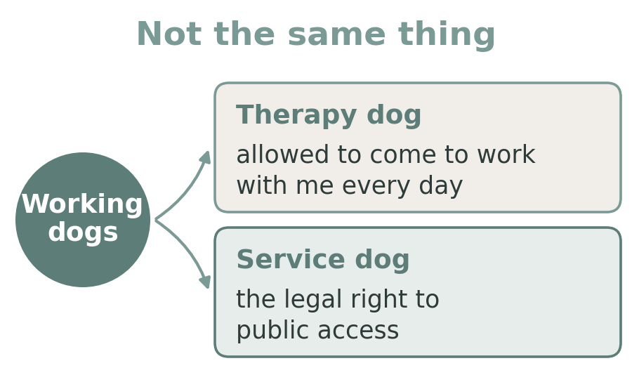 Diagram: working dogs branch into therapy dogs, allowed at work every day, and service dogs, with the legal right to public access
