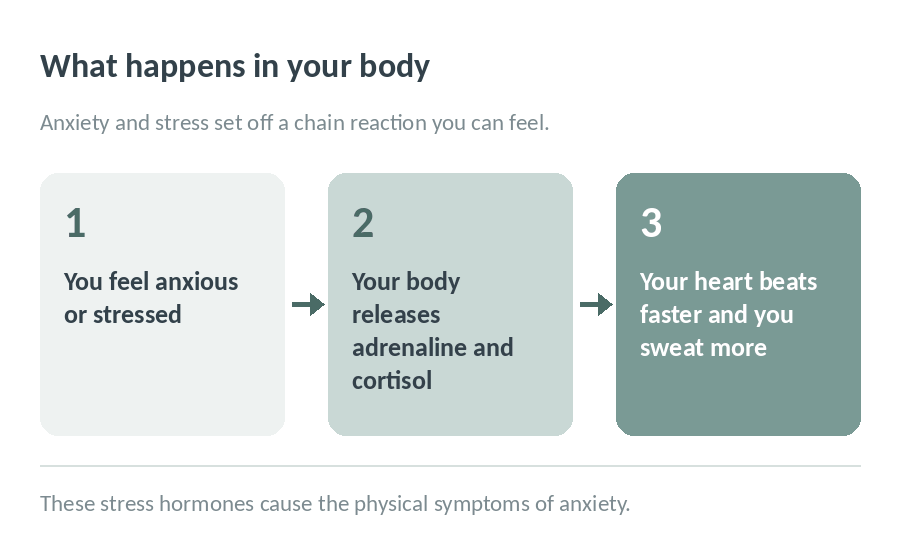 Three steps showing what happens in your body: you feel anxious or stressed, your body releases adrenaline and cortisol, and your heart beats faster and you sweat more