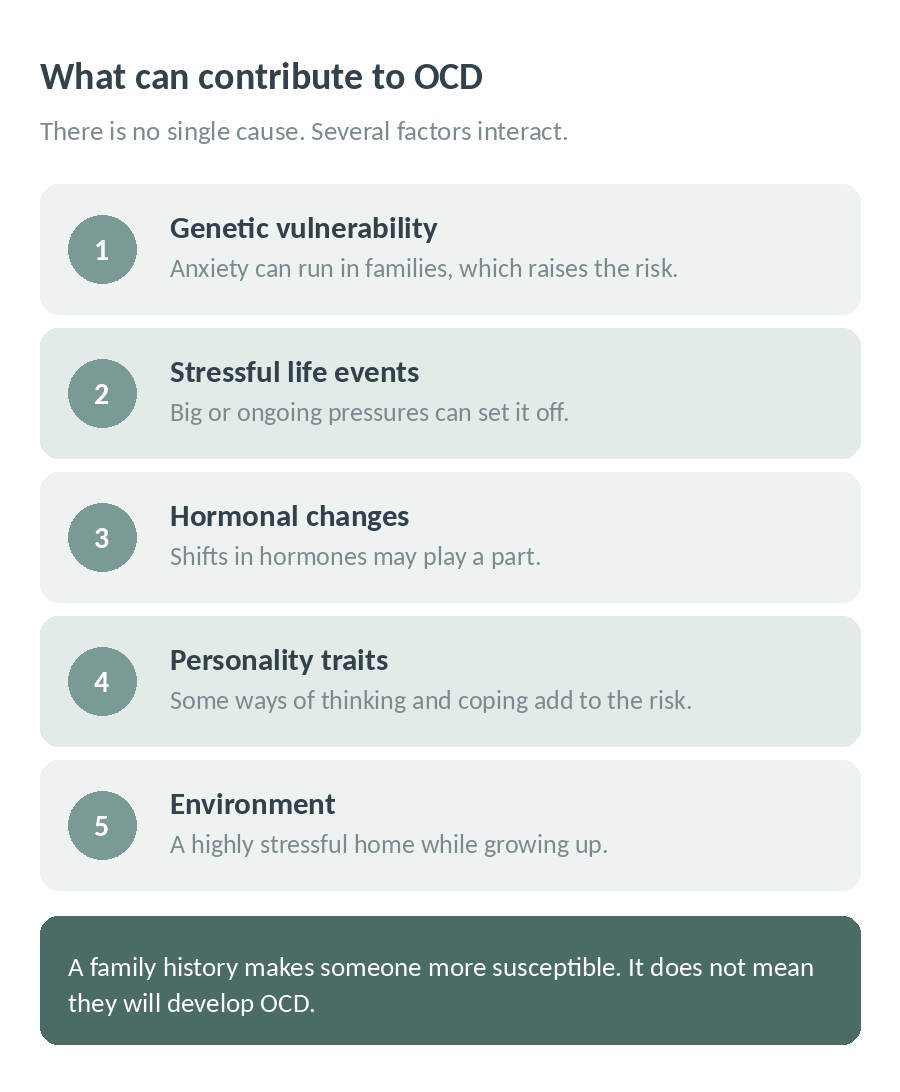 Five factors that can contribute to OCD: genetic vulnerability, stressful life events, hormonal changes, personality traits and environment