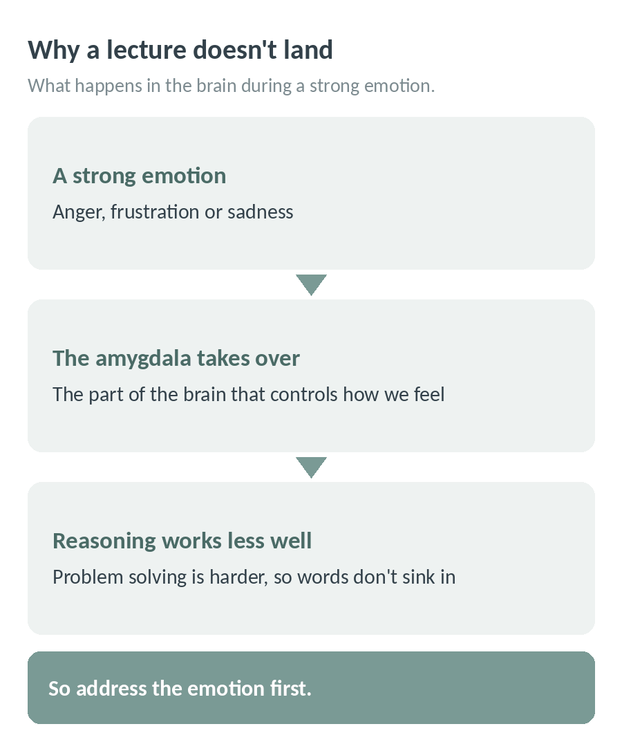 Why a lecture does not land: during a strong emotion such as anger, frustration or sadness, the amygdala takes over and reasoning and problem solving work less well, so address the emotion first
